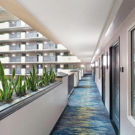 Embassy Suites By Hilton Orlando Airport-2