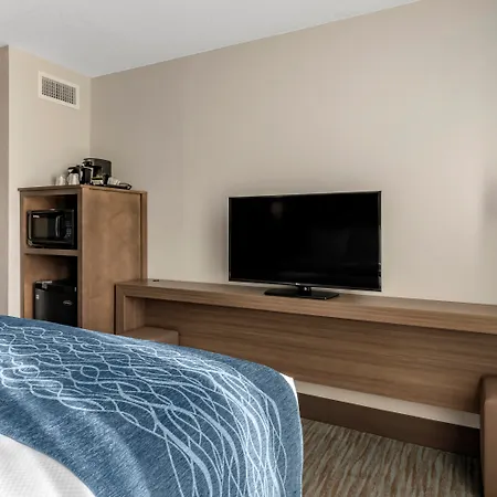 Comfort Inn & Suites Downtown Brickell-Port Of Miami-2