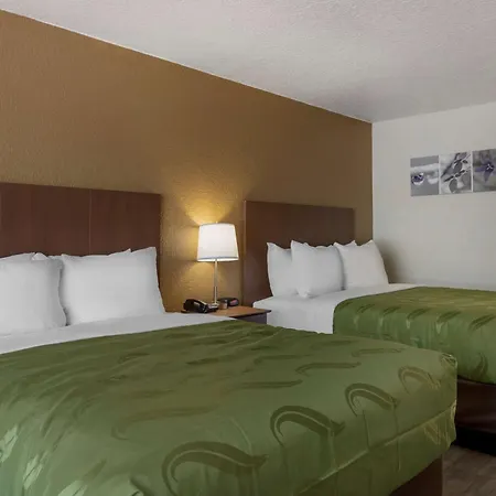Quality Inn Saint Petersburg North-Tampa Bay-3