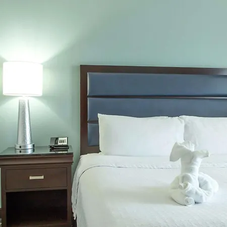 Homewood Suites By Hilton Miami - Airport West-3