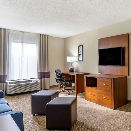 Comfort Inn & Suites St Pete - Clearwater International Airport-3