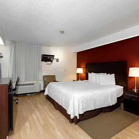 Red Roof Inn Plus+ Palm Coast-2