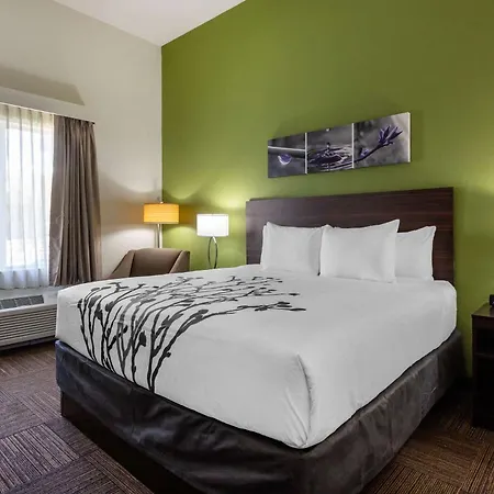 Sleep Inn & Suites Tampa South-3