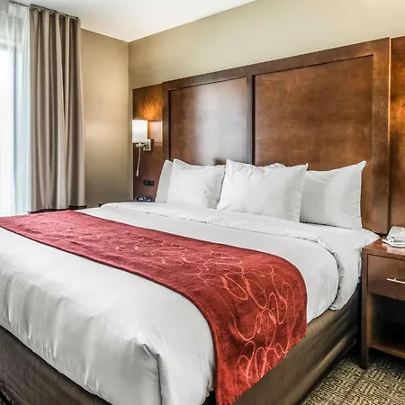 Comfort Suites Dunnellon Near Rainbow Springs-2