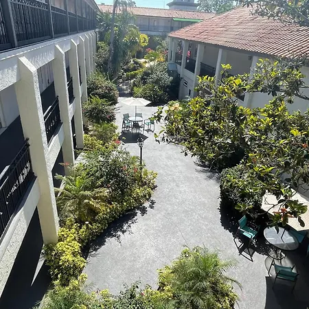 Red Roof Inn Plus & Suites Tampa - Busch Gardens-3
