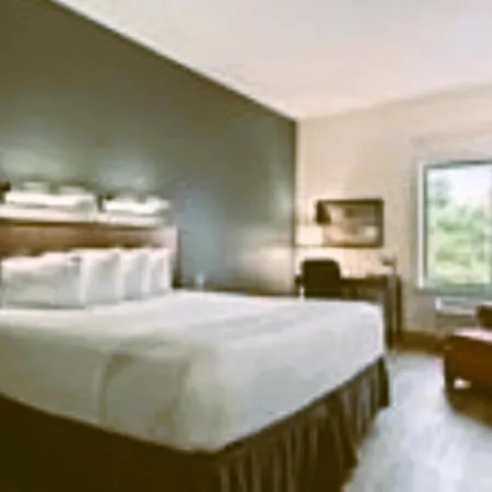 Suburban Studios Orlando - Ocoee-Winter Garden-2