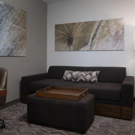 Springhill Suites By Marriott Orlando At Flamingo Crossings Town Center-Western Entrance-3
