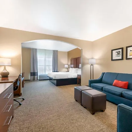 Comfort Inn & Suites Tavares North-3