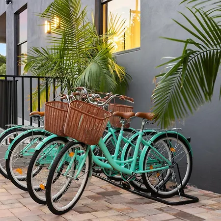 The Rover Miami-3
