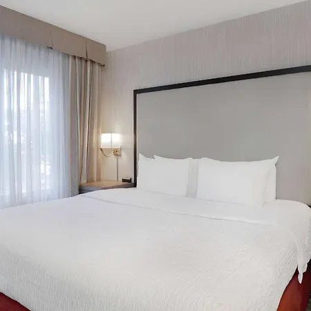 Homewood Suites By Hilton Tallahassee-2