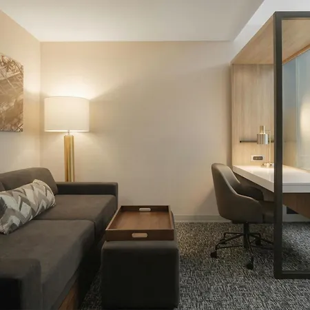 Springhill Suites By Marriott Tampa Downtown-3