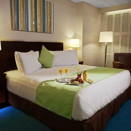 Miami International Airport Hotel-3