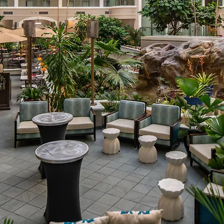 Sheraton Suites Fort Lauderdale At Cypress Creek-3