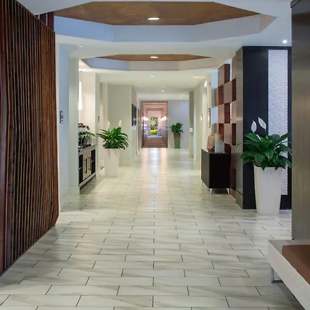 Springhill Suites By Marriott Orlando Convention Center-3