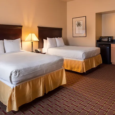 Best Western Tampa-2