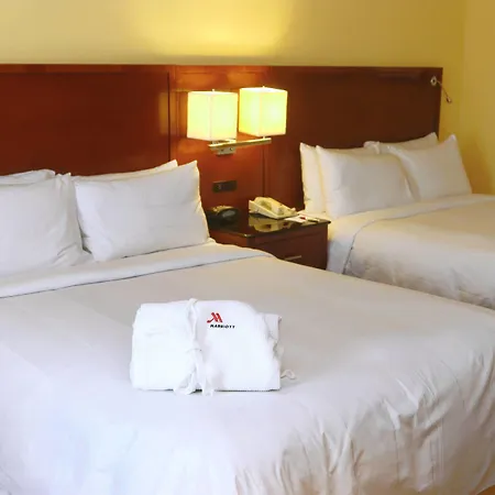 St. Petersburg Marriott Clearwater-3