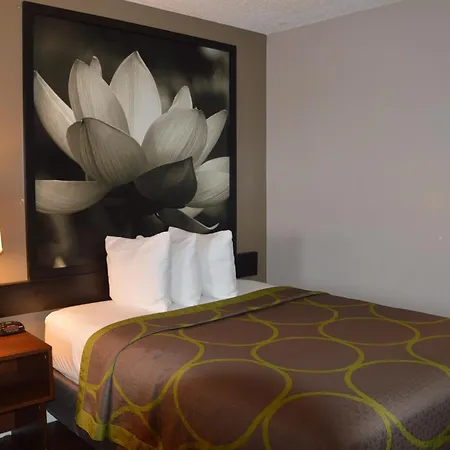 Super 8 By Wyndham Madison-2
