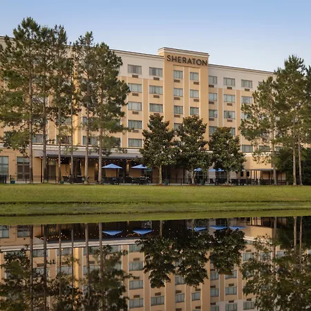 Sheraton Jacksonville Hotel-2