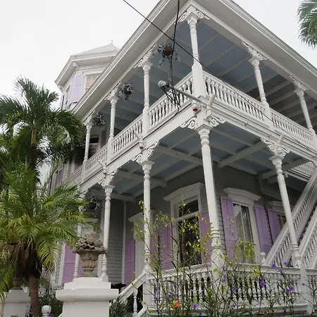 The Artist House-2