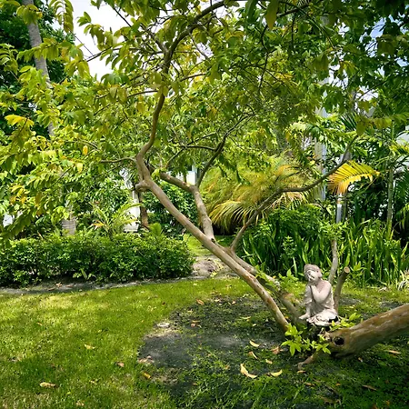 Beach Gardens-2