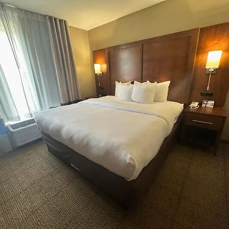 Comfort Suites Dunnellon Near Rainbow Springs-3