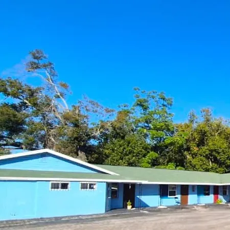 Antigua Motel By Oyo Tampa Us - 41-3
