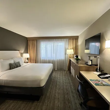 Best Western Plus Atlantic Beach Resort-2