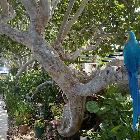 South Beach Place - Vero Beach-3