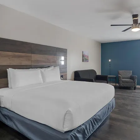 Hom Hotel Gainesville, Surestay Collection By Best Western-3