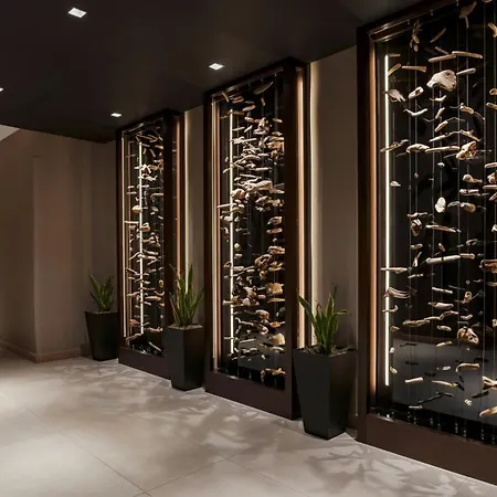 Ac Hotel By Marriott Jacksonville St Johns Town Center-3