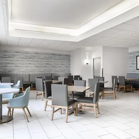 Embassy Suites By Hilton Tampa Airport Westshore-3