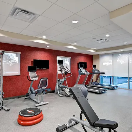 Home2 Suites By Hilton Tampa Usf Near Busch Gardens-2
