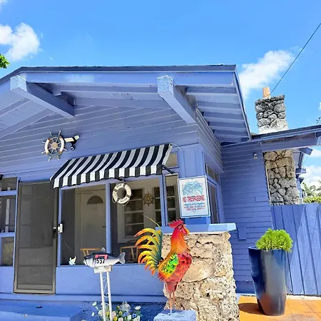 Blue Little Havana-2