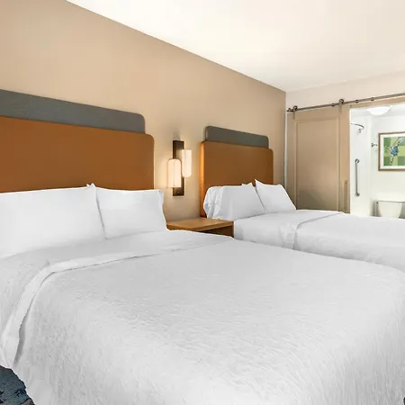 Hampton Inn Tampa International Airport/Westshore-3