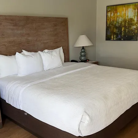 Quality Inn & Suites By The Parks-2