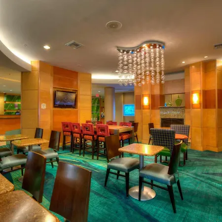 Springhill Suites By Marriott - Tampa Brandon-3