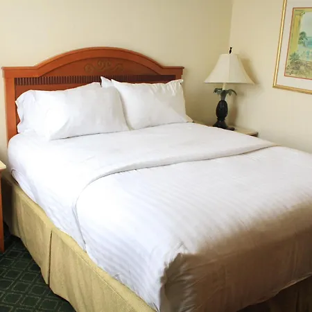 Holiday Inn Port St. Lucie By Ihg-3