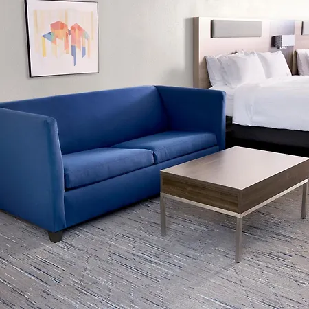 Holiday Inn Express & Suites Sarasota Bradenton By Ihg-2