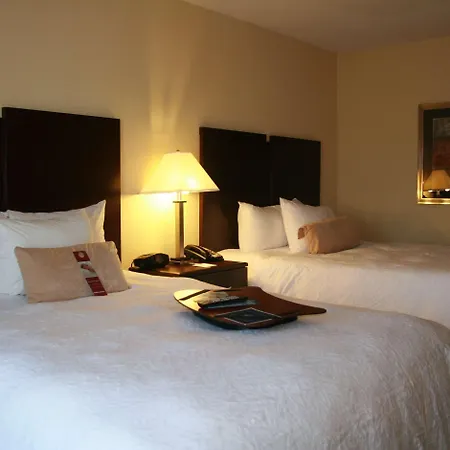 Hampton Inn & Suites Orlando-John Young Parkway/South Park-3