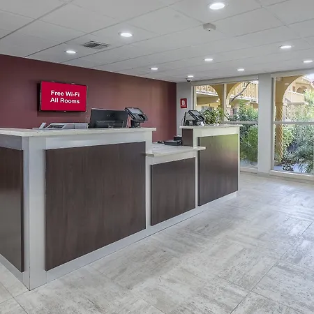 Red Roof Inn Tampa Bay - St. Petersburg-2