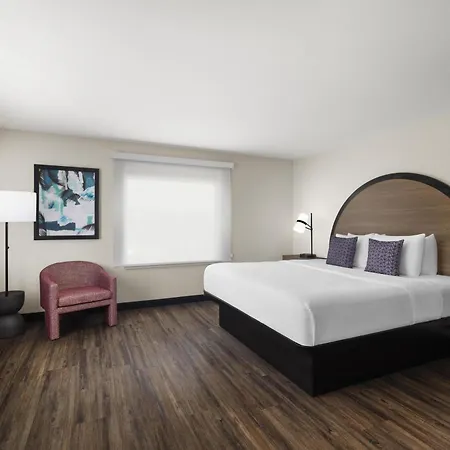 Best Western Auburndale Inn & Suites-3