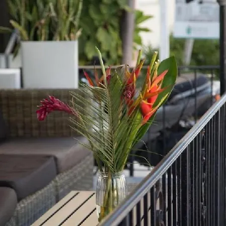 Odyssey Of South Beach Apart Hotel-2