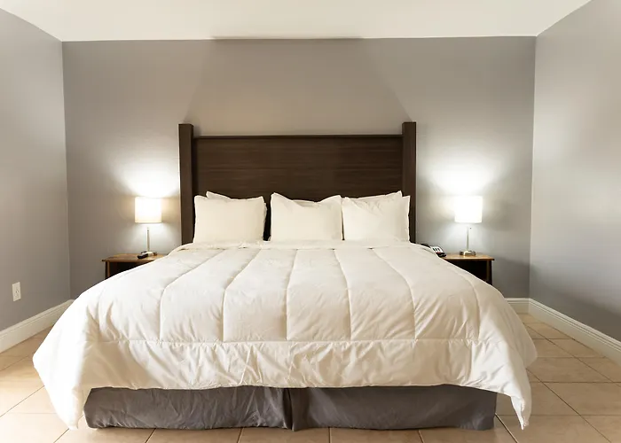Celebration Suites