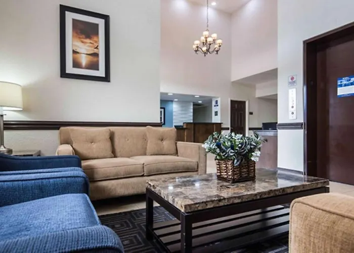 Best Western Mulberry Hotel