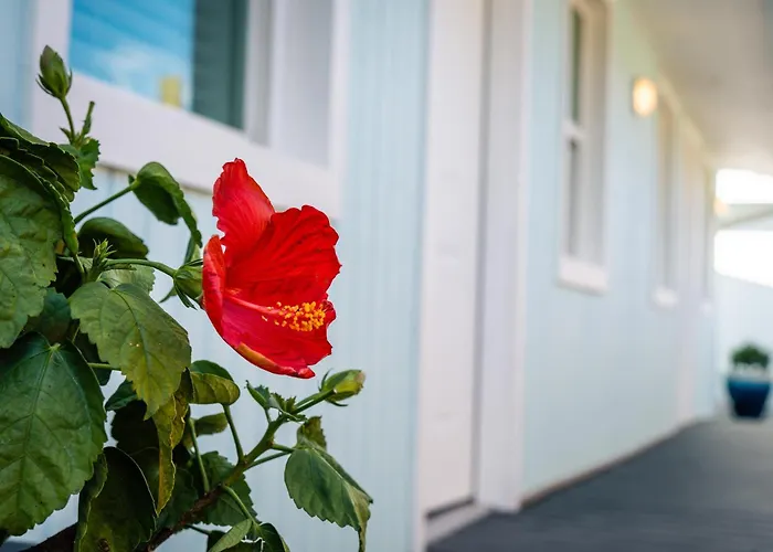 Salt Air Inn & Suites