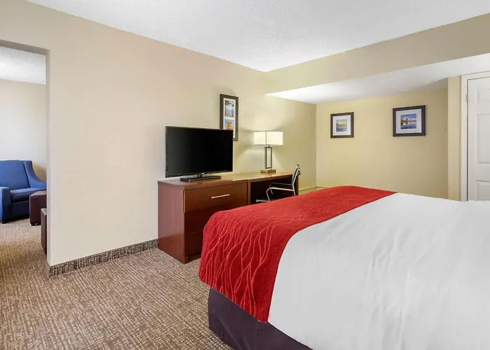 Comfort Inn St Petersburg North