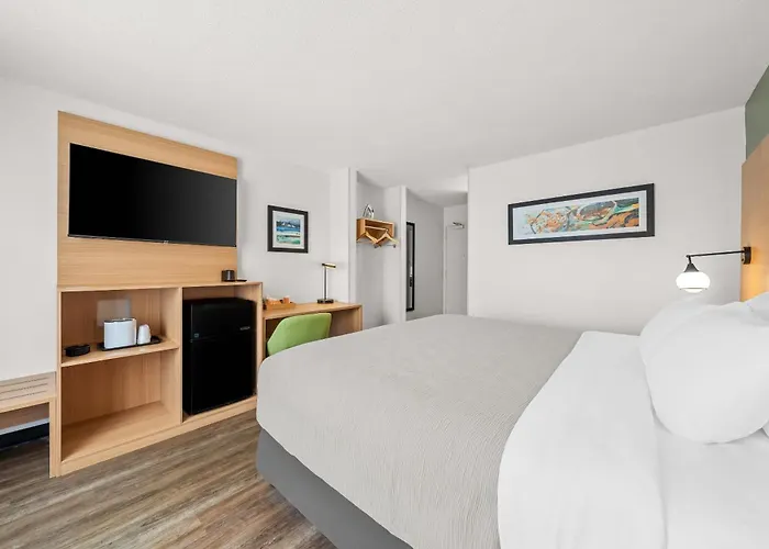 Quality Inn Orlando Near International Drive Williamsburg