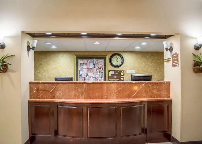 Clarion Pointe Tampa-Brandon Near Fairgrounds And Casino Hotel Mango