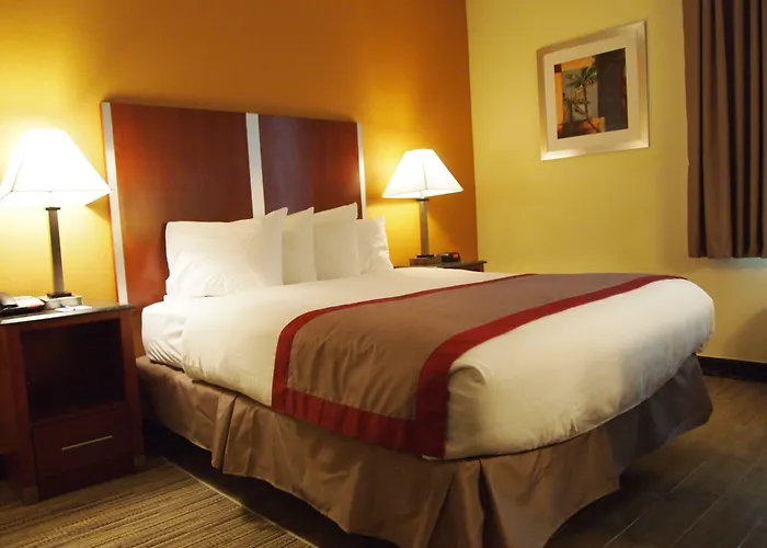Best Western Ft Lauderdale I-95 Inn Oakland Park