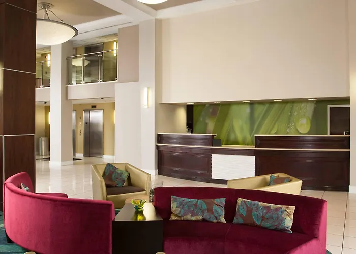 Springhill Suites Fort Lauderdale Airport Dania Beach